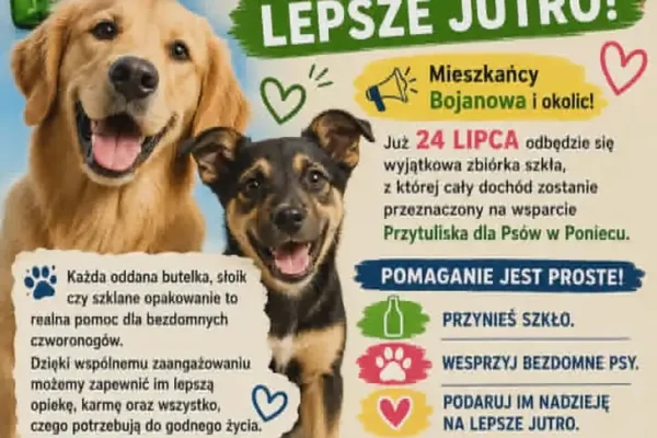 Zbiórka szkła dla psów z Przytuliska w Poniecu – dołącz już 24 lipca