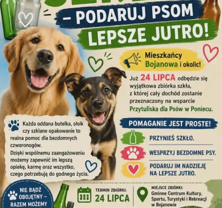Zbiórka szkła dla psów z Przytuliska w Poniecu – dołącz już 24 lipca
