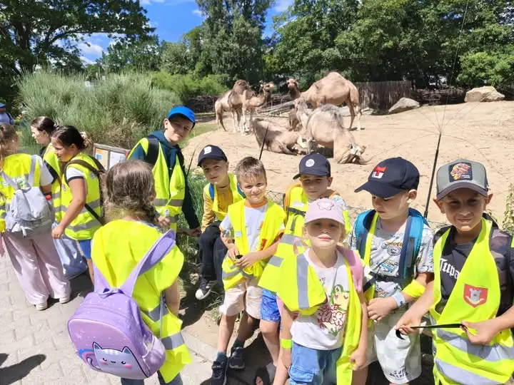 Wakacyjna wycieczka do zoo z OKSiAL – niezapomniane chwile we Wrocławiu