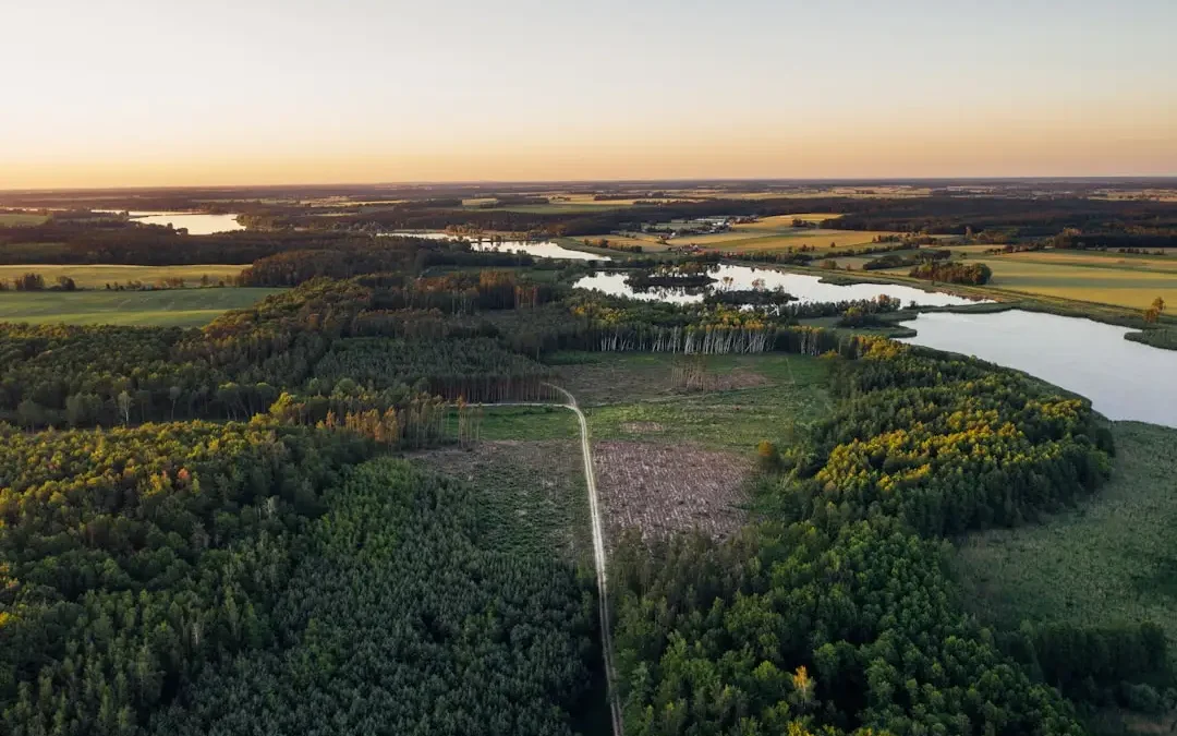 Gmina Bojanowo oddaje grunty i stawy w dzierżawę. Sprawdź, które działki czekają na dzierżawców