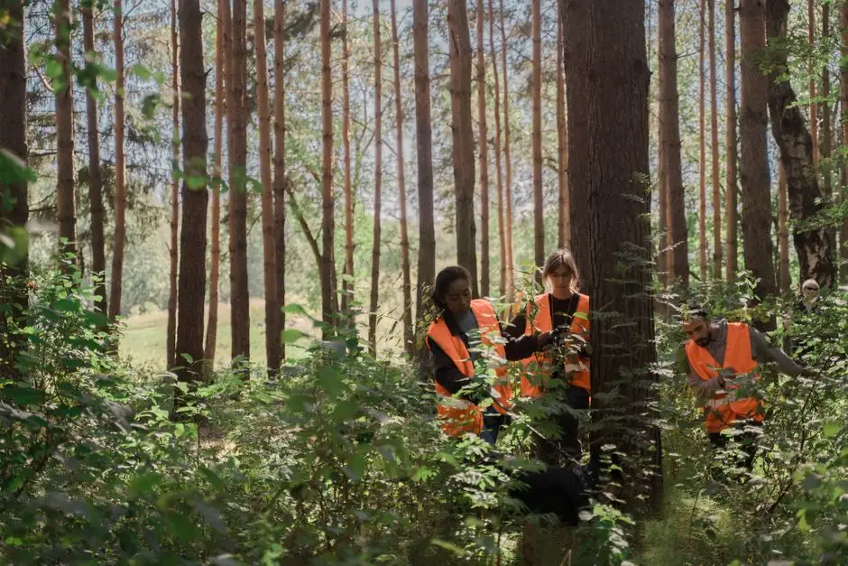 Poszukiwania zaginionej osoby w okolicach Sworowa – akcja służb