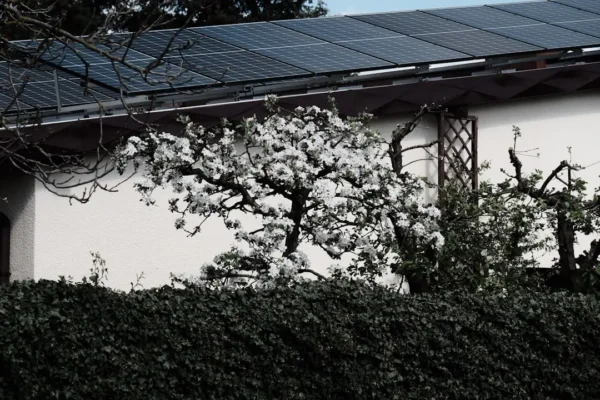 Gmina Bojanowo kończy projekt solarny za 3,2 mln zł. Panele na 13 obiektach