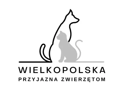 Gmina Bojanowo z dotacją na walkę z bezdomnością zwierząt