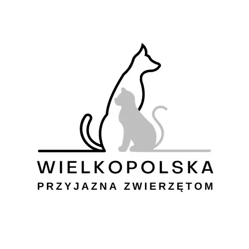 Gmina Bojanowo z dotacją na walkę z bezdomnością zwierząt