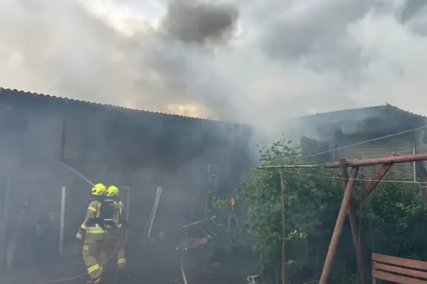 Pożar budynku gospodarczego w Chojnie – strażacy uratowali trzy konie