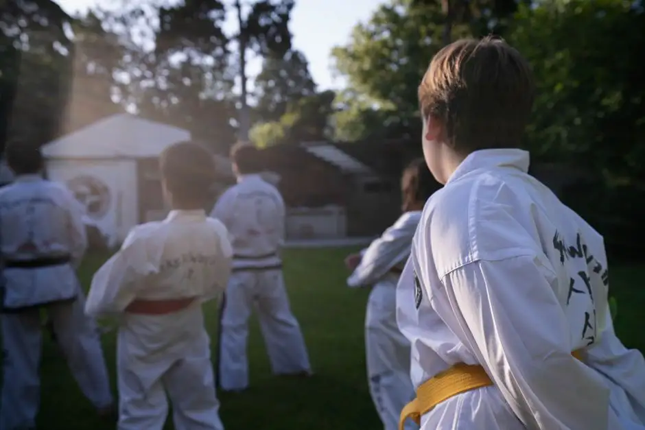Rawicz: Akademia Taekwon-do IN-NAE złożyła ofertę na dofinansowanie zadania publicznego